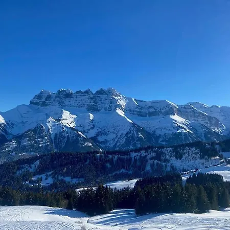 Les Bleuets K10 Duplex *